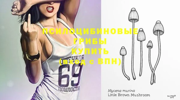 винт Бородино